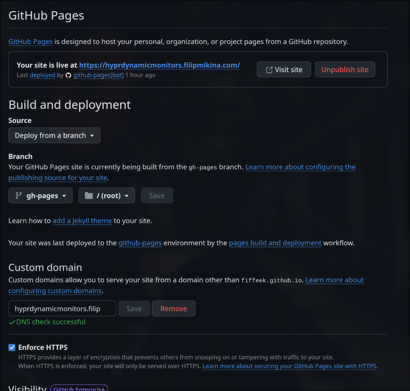 GitHub Pages settings page with the 'Custom domain' input field where you enter your custom subdomain like 'docs.yourdomain.com'.
